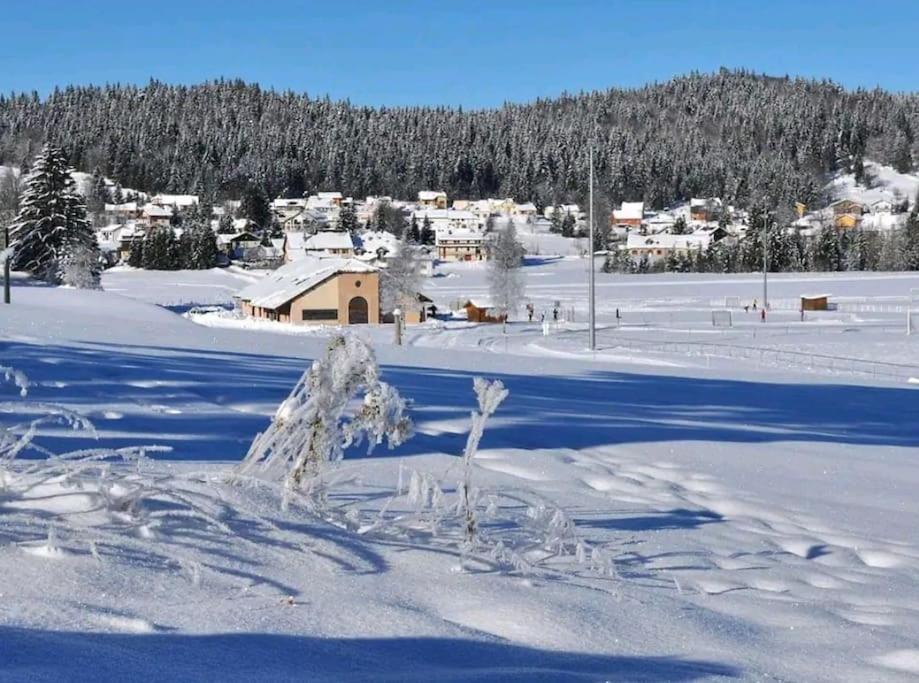 Appartement T2 Bis A Morbier Exteriör bild
